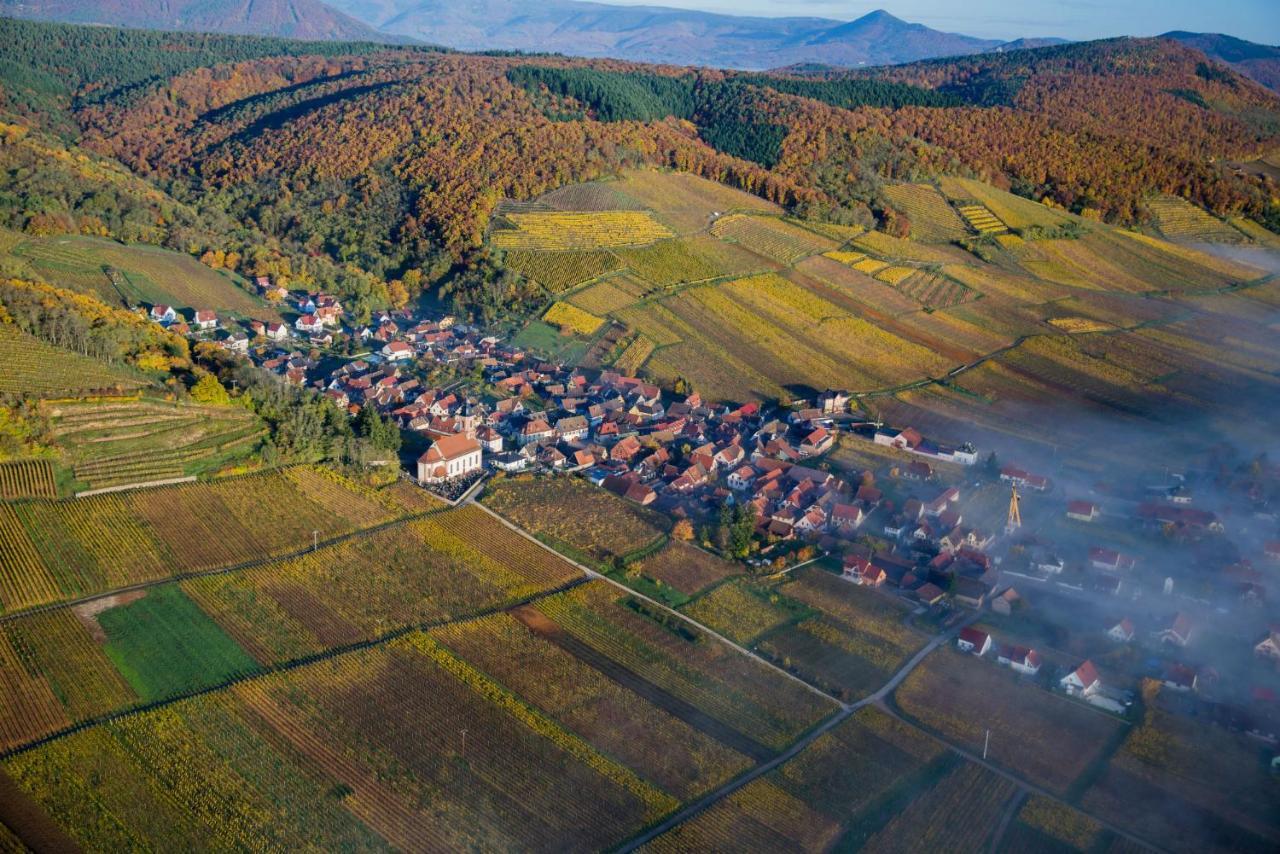 Maison De Ville Selestat Centre Екстер'єр фото